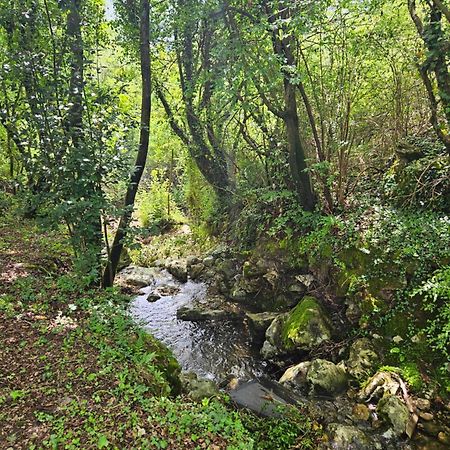 Villa Rada Igalo Exteriér fotografie